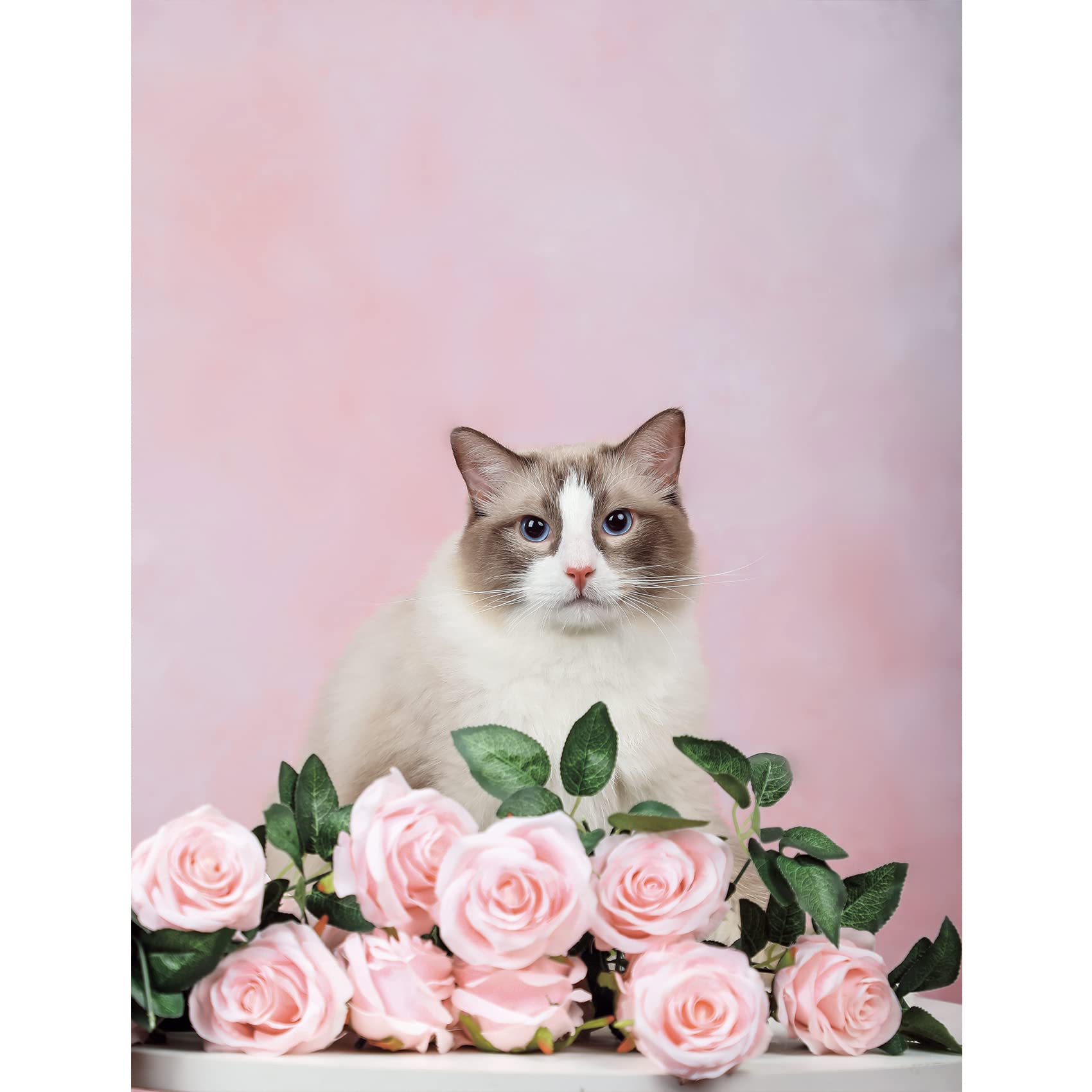 Kate 5X7Ft/1.5X2.2M Pink Backdrops Abstract Sweet Girls Pink Seamless Portrait Background Photo Studio Props